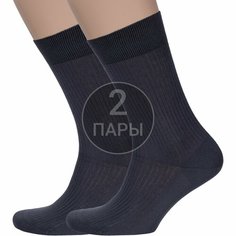 Носки RuSocks, комплект, 2 пары, размер 25, Темно-серые