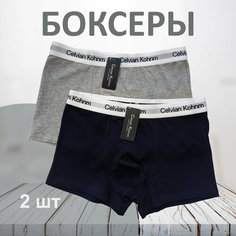 Трусы Celvian Kohnm для мужчин, боксеры мужские,, комплект из 2 шт., размер 3XL, синий, серый