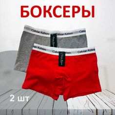 Трусы Celvian Kohnm для мужчин, боксеры мужские,, комплект из 2 шт., размер 5XL, красный, серый