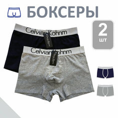 Трусы Celvian Kohnm для мужчин, боксеры мужские,, комплект из 2 шт., размер 3XL, синий, серый