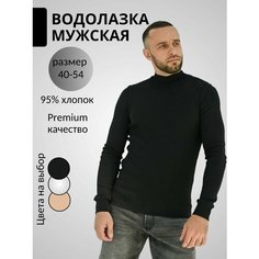 Водолазка Оптима Трикотаж, размер 54, , чёрный