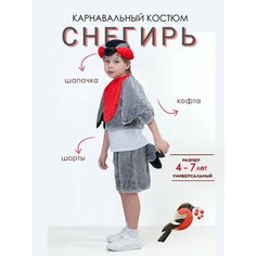 Костюм детский новогодний снегирь НГkids