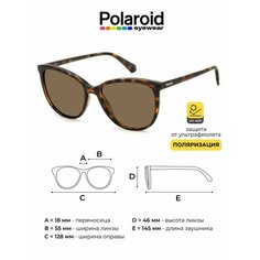 Солнцезащитные очки Polaroid, коричневый