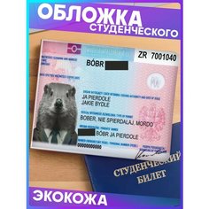 Обложка для студенческого билета 1-я Наклейка