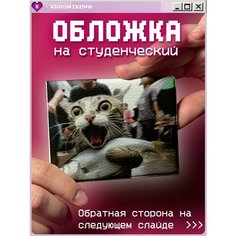 Обложка для студенческого билета KRASNIKOVA, серый