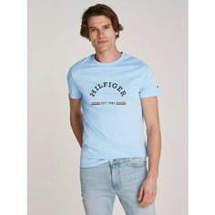 Футболка TOMMY HILFIGER, размер L, blue