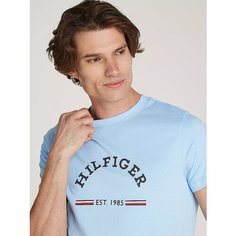 Футболка TOMMY HILFIGER, размер XXL, blue