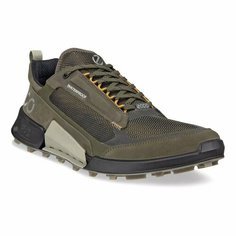 Кроссовки ecco BIOM 2.1 X MOUNTAIN M, полнота F (EU)/ на среднюю стопу, размер 44, хаки