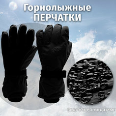 Перчатки WHSROMA, размер M, черный