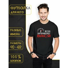Футболка DARIART Всем заправляет Вася, 1 шт., размер M, черный