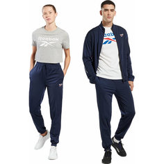 Брюки спортивные Reebok RI VECTOR KNIT TRACKPANT, размер XL, синий