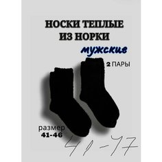 Носки МИНИBS, комплект, 2 пары, размер 41/47, черный