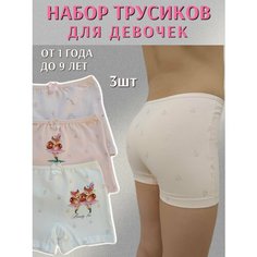 Трусы VITAMINKA, размер 2-3, мультиколор