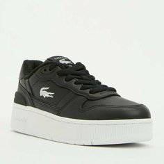 Кеды LACOSTE, размер 41, черный