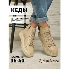 Ботинки Alessio Nesca, размер 39, бежевый