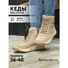 Ботинки Alessio Nesca, размер 39, бежевый