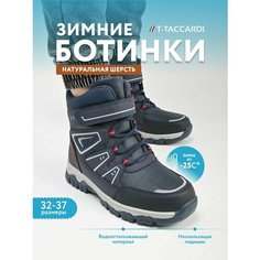 Ботинки челси T.Taccardi, размер 35, темно-синий