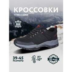 Ботинки T.Taccardi, размер 40, черный