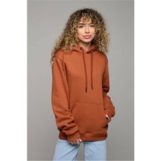 Худи Магазин Толстовок, размер 3XL-50-52-Woman-(Женский), , коричневый