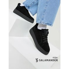 Полуботинки дерби Salamander, размер 35, черный