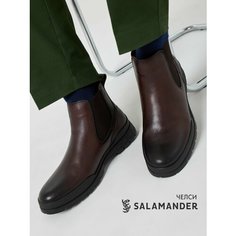 Ботинки челси Salamander, размер 42, темно-коричневый