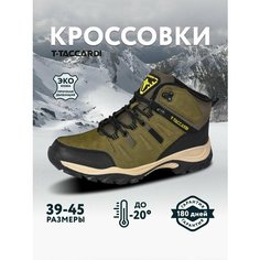 Ботинки T.Taccardi, размер 41, зеленый