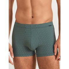 Трусы CALIDA Grafic Cotton, размер 2XL, зеленый