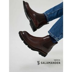 Ботинки челси Salamander, размер 39, коричневый