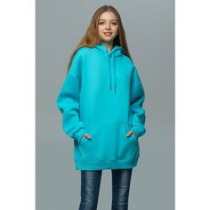 Худи Магазин Толстовок, размер M-48-Unisex-(Женский), , голубой