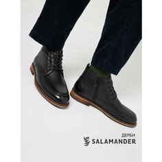 Ботинки дерби Salamander, размер 40, черный