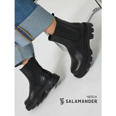 Ботинки челси Salamander, размер 38, черный