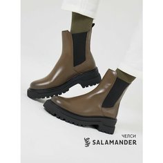 Ботинки челси Salamander, размер 41, хаки