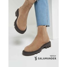 Ботинки челси Salamander, размер 36, бежевый