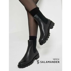 Ботинки челси Salamander, размер 36, черный