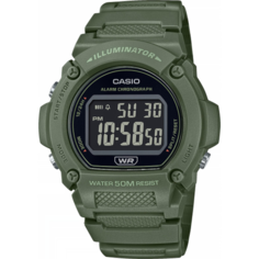Наручные часы CASIO, зеленый, черный