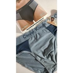 Трусы Clever Knight, размер 8XL, серый