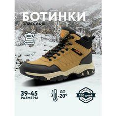 Ботинки T.Taccardi, размер 43, черно-коричневый