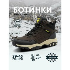 Ботинки T.Taccardi, размер 41, коричневый