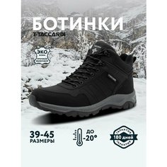Ботинки T.Taccardi, размер 42, черный