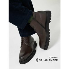 Ботинки дерби Salamander, размер 40, темно-коричневый