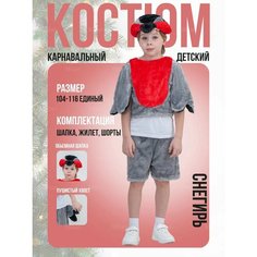 Костюм снегиря детский Jasikids