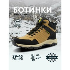 Ботинки T.Taccardi, размер 43, темно-коричневый
