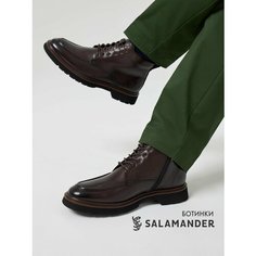 Ботинки дерби Salamander, размер 39, коричневый