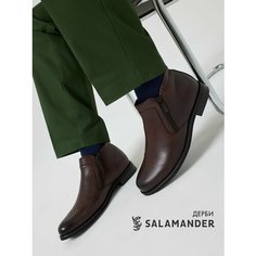 Ботинки Salamander, размер 39, коричневый