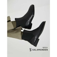 Ботинки челси Salamander, размер 37, черный
