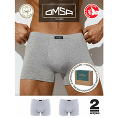 Трусы Omsa, комплект из 2 шт., размер 56(4XL), grigio melange