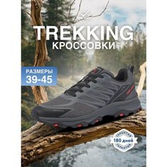 Кроссовки TimeJump, полнота G (EU)/ на среднюю и широкую стопу, размер 43, серый