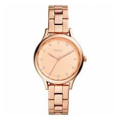 Наручные часы FOSSIL