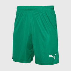 Шорты PUMA Puma Teamgoal 70575205, размер XXL, зеленый