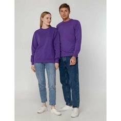 Свитшот molti, размер XXL, , фиолетовый
